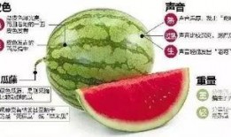 微信名字关于吃瓜,揭秘微信吃瓜群里的那些事儿