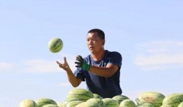 风公子吃瓜,揭秘娱乐圈那些不为人知的幕后故事