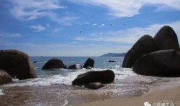 海角吃瓜视频,揭秘热门话题背后的真相与笑料