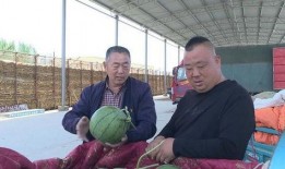 安阳滑县吃瓜事件,一场网络热议背后的真相与反思