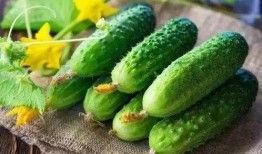 博雅吃瓜照片视频,趣味视频照片背后的故事