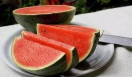 吃瓜郑大,揭秘娱乐圈背后的那些事儿