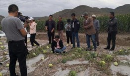 会宁县吃瓜事件,一场网络热议背后的真相与反思