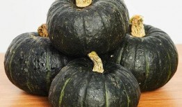 吃贝贝瓜抖音,夏日清凉新体验！”