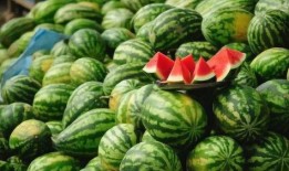 这瓜怎么吃呀,瓜类食材的多样食用方法揭秘