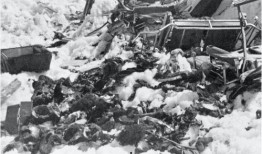 临海吃瓜事件始末,一场网络舆论的风暴与反思