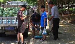 即墨吃瓜群众新闻,吃瓜群众聚焦最新新闻事件