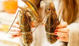 阿龙吃龙瓜,与龙瓜的奇幻邂逅