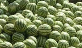 在家吃瓜在外赏花,悠然自得的生活画卷