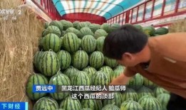 瓜哥吃瓜玩具火车,趣味盎然，陪伴成长