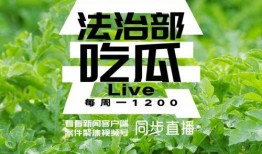 案件聚焦吃瓜,揭秘吃瓜群众的狂欢与真相