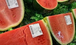 吃瓜直播间开心吃瓜,跟随“开心吃瓜”直播间，畅享欢乐瓜界盛宴