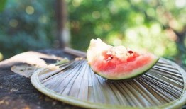 吃瓜吃料网入口,带你畅游娱乐圈最新资讯海洋