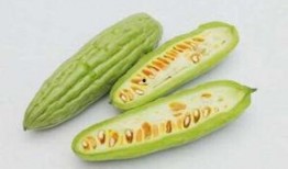 孕妇可吃凉瓜吗,凉瓜在孕期中的适宜性探讨