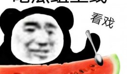 你们吃瓜有什么连接,揭秘网络舆论的连接与影响