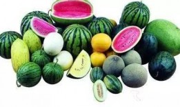 东南吃瓜,吃瓜群众的味蕾盛宴