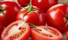 哈密瓜番茄一起吃,营养互补的夏日美食新主张