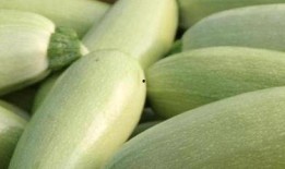 嫩茭瓜怎么吃最好,探索最佳食用方法