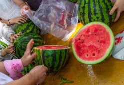 上学吃瓜视频,揭秘上学吃瓜视频背后的趣味与思考