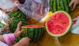 上学吃瓜视频,揭秘上学吃瓜视频背后的趣味与思考