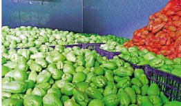 贵州吃的瓜菜,瓜菜飘香，舌尖上的多彩贵州