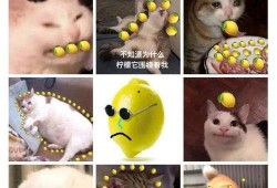 吃瓜喊加油,见证时代变迁的民间力量