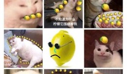 吃瓜喊加油,见证时代变迁的民间力量