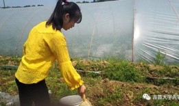 路人如何文明吃瓜,做理智观众，共赏网络热点