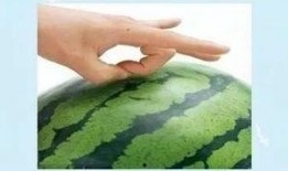 当当在吃瓜,揭秘娱乐圈幕后真相