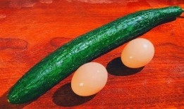 吃鸡蛋可以吃瓜吗,健康搭配的饮食智慧