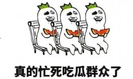 队友吃瓜,揭秘娱乐圈幕后真相