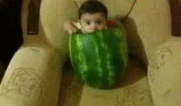 各种吃瓜姿势图片,解锁夏日清凉新姿势