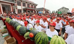 吃瓜乡,揭秘乡村里的甜蜜生活与趣味故事