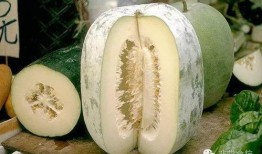 东南吃瓜,吃瓜群众的味蕾盛宴