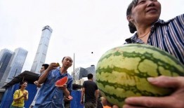 吃瓜热点朝阳,揭秘娱乐圈最新热点事件