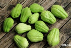 吃鸡蛋可以吃瓜吗,健康搭配的饮食智慧