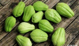 吃鸡蛋可以吃瓜吗,健康搭配的饮食智慧