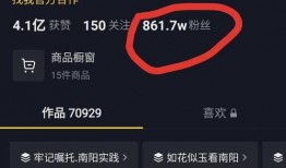 吃瓜中视频计划,带你领略短视频时代的魅力与机遇