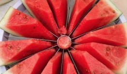 吃瓜赛热潮下句,揭秘网络狂欢背后的故事