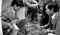 临夏东乡吃瓜事件,一场误会引发的社区热议