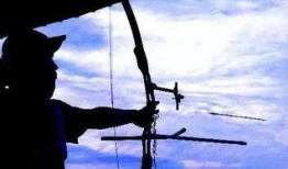 射箭带你吃瓜,吃瓜故事笑翻天