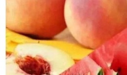 做梦吃桃吃瓜,桃香瓜韵，味蕾之旅