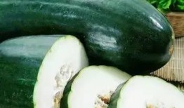 春吃草莓夏吃瓜,四季美味相伴