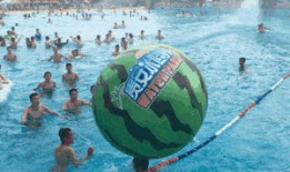 吃瓜冲浪博主,带你领略网络世界的趣味与真相