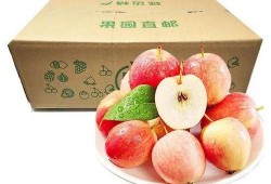 春吃草莓夏吃瓜,四季美味相伴