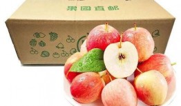 春吃草莓夏吃瓜,四季美味相伴