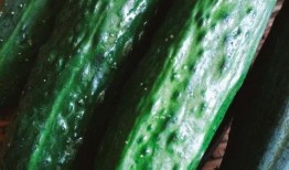 有系统吃瓜,系统吃瓜背后的真相与内幕