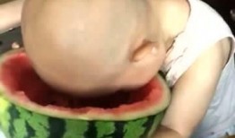 大头吃搅瓜,一场趣味横生的美食冒险之旅