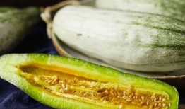 肠胃湿热可以吃瓜吗,适宜食用瓜类水果的智慧选择