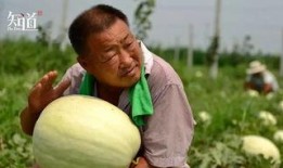 吃瓜人图,网络围观背后的社会心理